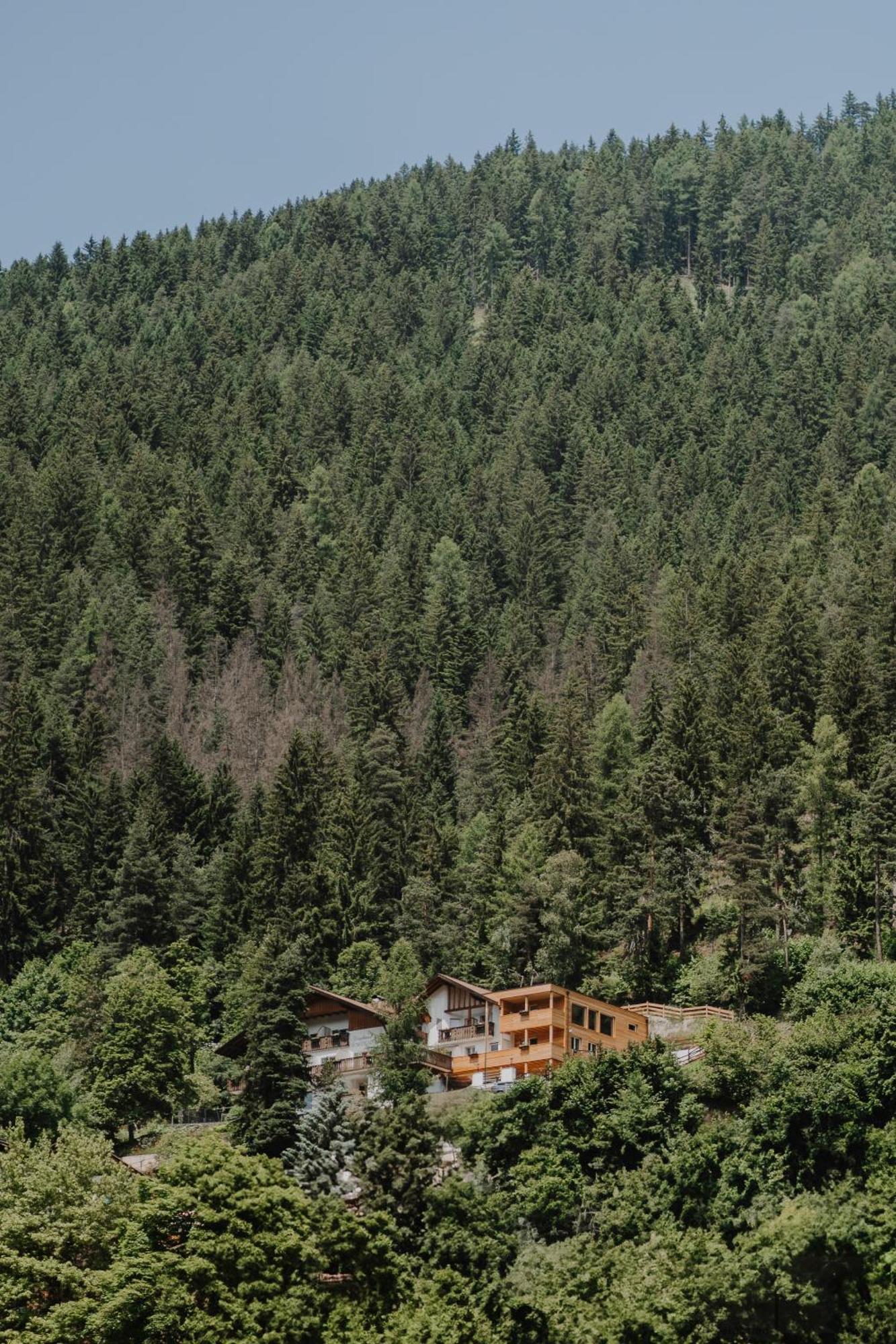 Hotel Berghaus Rosengarten Welschnofen Exterior foto